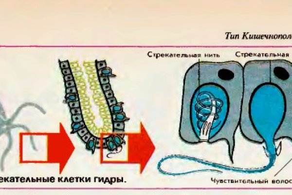 Kraken зеркала kr2web in
