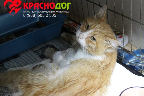 Кракен сайт регистрация