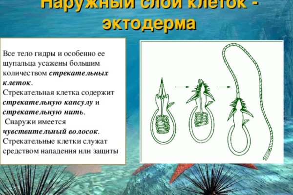 Кракен вход на сайт