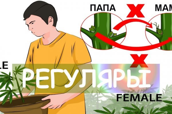 Можно ли восстановить аккаунт в кракен даркнет