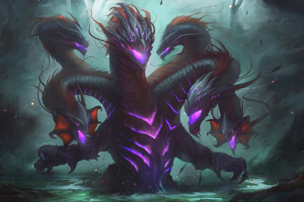 Kraken 17 at net